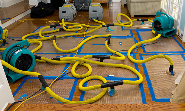 Professional Burst Pipe Water Damage technician working in Coaldale, PA